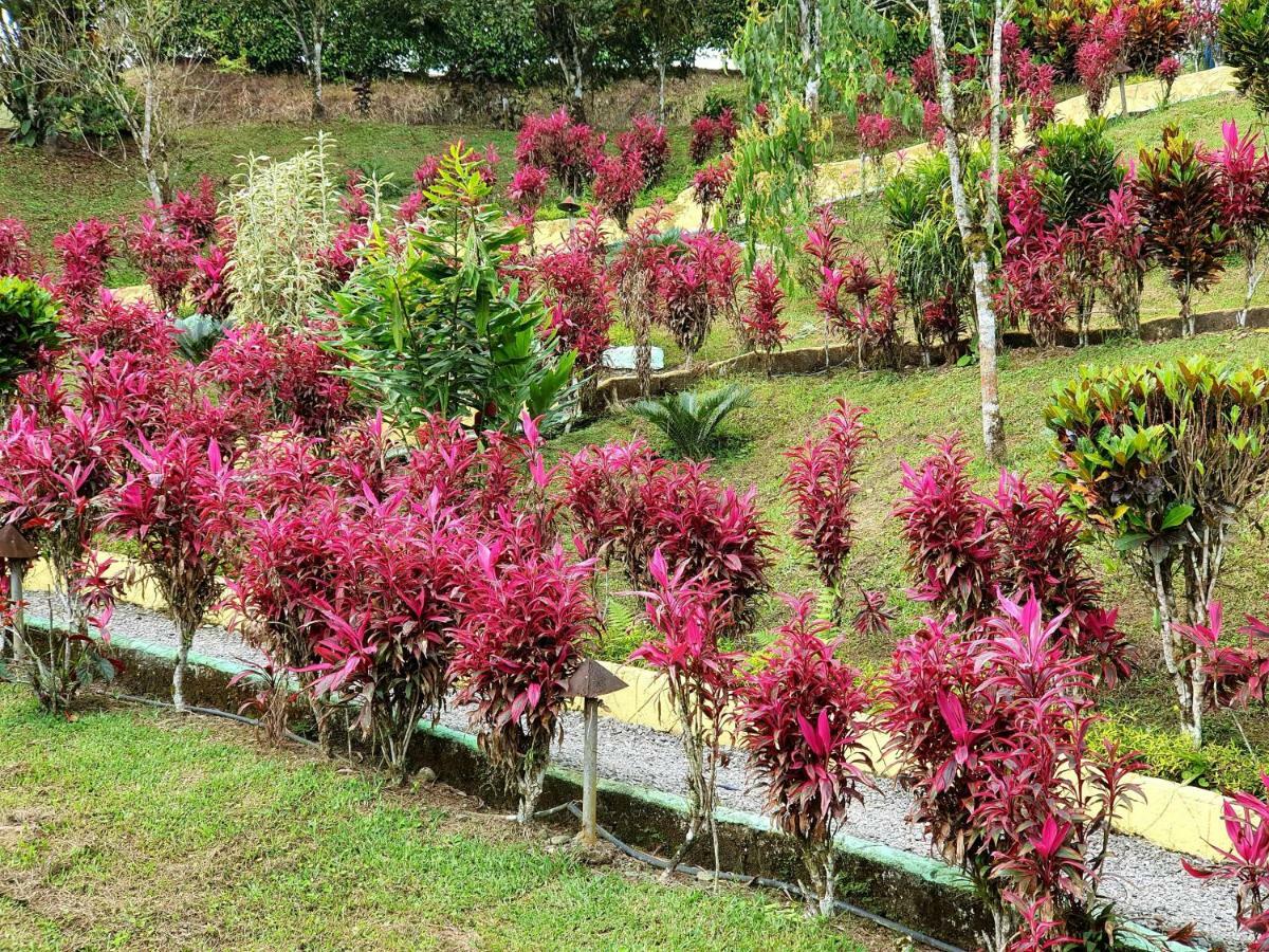 Hosteria Kasadasa Santo Domingo de los Colorados Ngoại thất bức ảnh